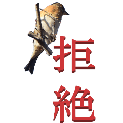 Chinese characters From Brambling-BIG