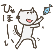 kutakuta cat 1