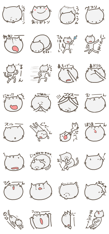 kutakuta cat 1