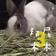 bunny mumu 3