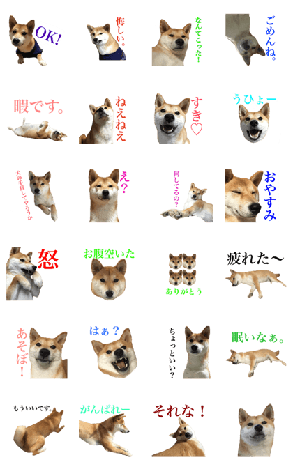 Shibainu"shungiku" Sticker