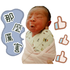 小豬仔的日常對話