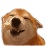 Smiling dog-mame #2