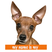 minpin my