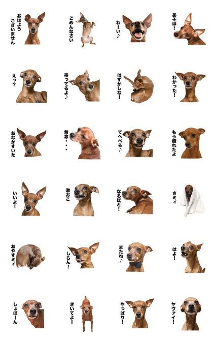 minpin my