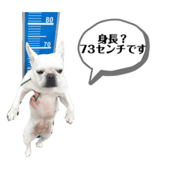 Kii_20210202170202