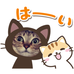 Tomomi_20210202184145