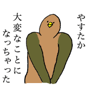 Pigeon's name is Yasutaka
