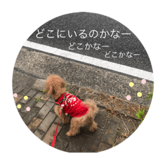 smile_20210202191302