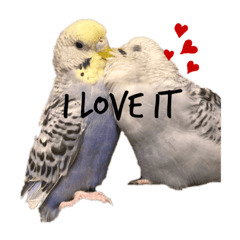 tomomi_20210202192930