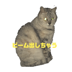 chibi_20210202202051