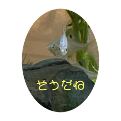 ye_20210202202301