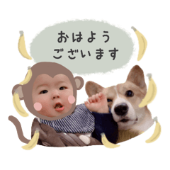 ruaharu__coton sticker