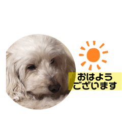 yukina_20210202214657