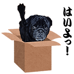 Black pug live-action version stamp