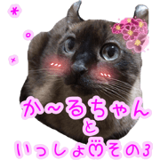 American curlsticker3
