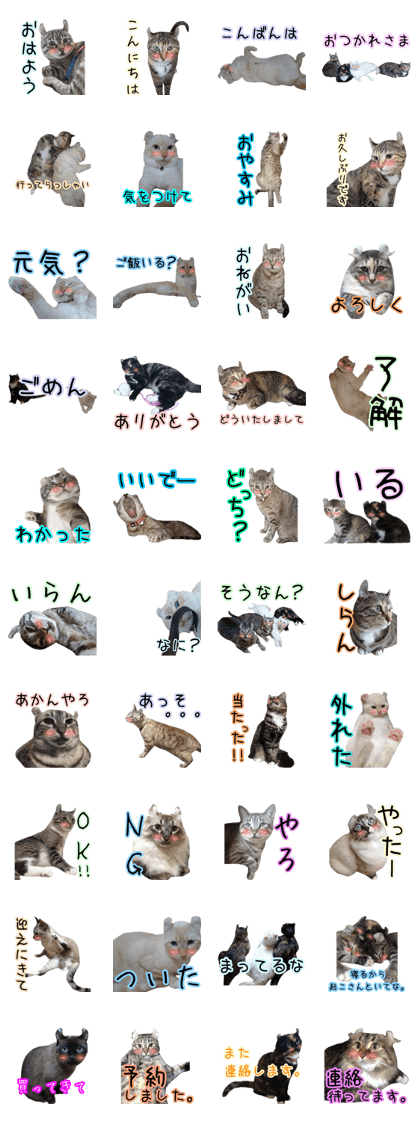 American curlsticker3