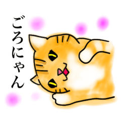 rei_20210202230445