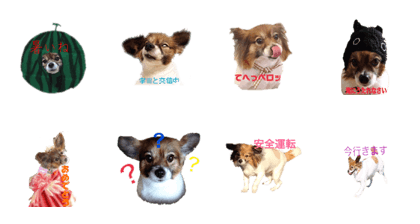 cocolove