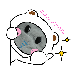 orange_20210202221044