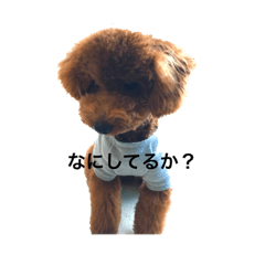 rina_20210203005913