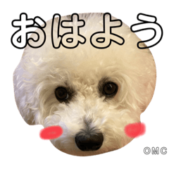 omochi_20210203030628