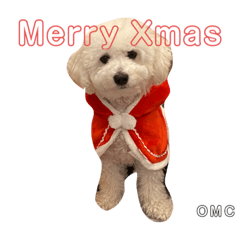 omochi_20210203034836