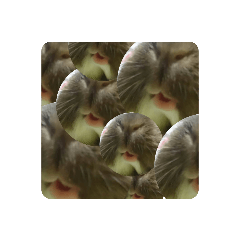 koz_20210202221540