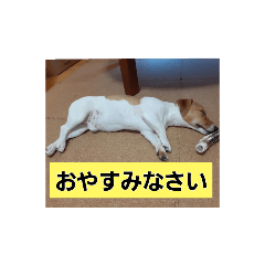peace_2
