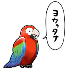 a talking parrots