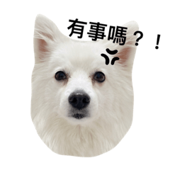 Angel專屬表情貼