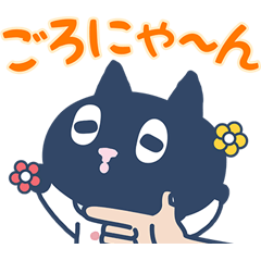 Daily life of Kuroro the cat