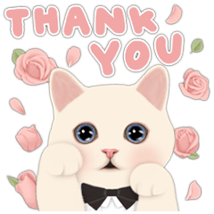 [BIG] CHOO CHOO CAT Thankful Stickers