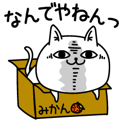 じろりねこだらだらだるい Line スタンプ Line Store