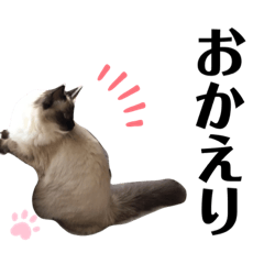 Ragdoll cat Deca character sticker