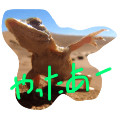 chie_20210203161821
