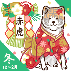 Akita Dogs in Winter [RED&SILVER] 1