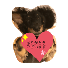 hiyori_20210203173338