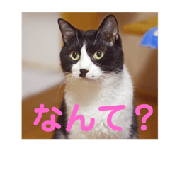 Tonton_20210203175132