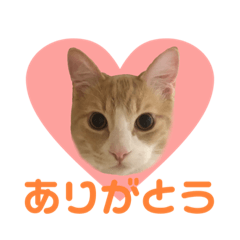yukina_20210203211707