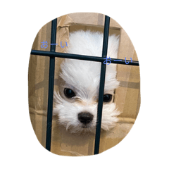 nanami_20210203223218