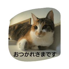 konatsu_20210203230627