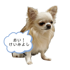 Saori_20210203194428