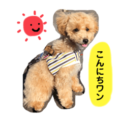 yamada_20210203214049