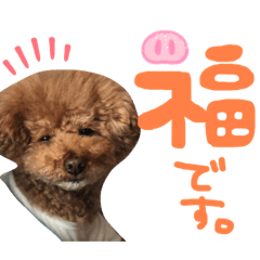 risa_20210204095754