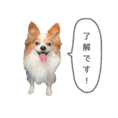 kuuta&reiya