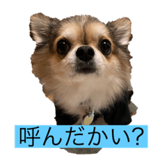 asuka_20210203231823