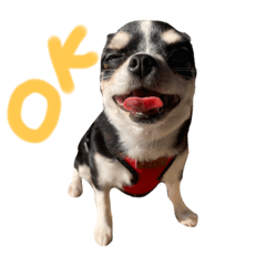 Hannah_20210203204241