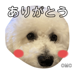 omochi_20210203191045