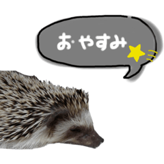 cocoa_20210204002131